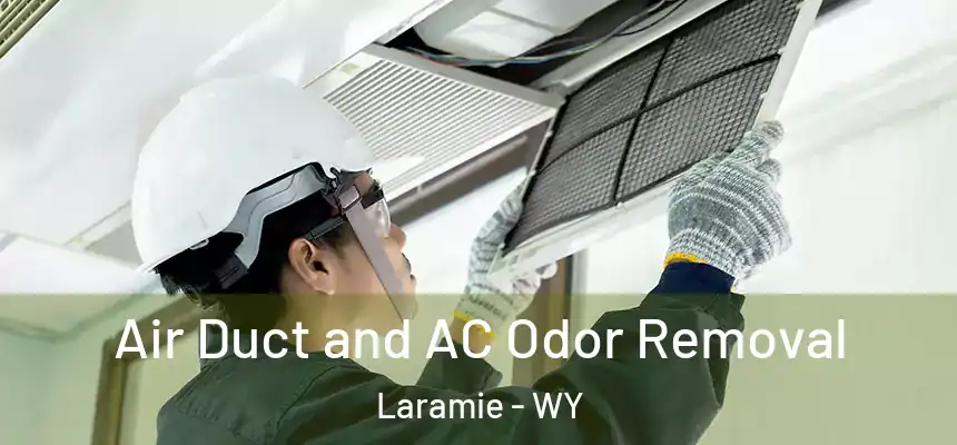  Air Duct and AC Odor Removal Laramie - WY