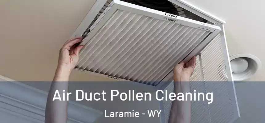  Air Duct Pollen Cleaning Laramie - WY
