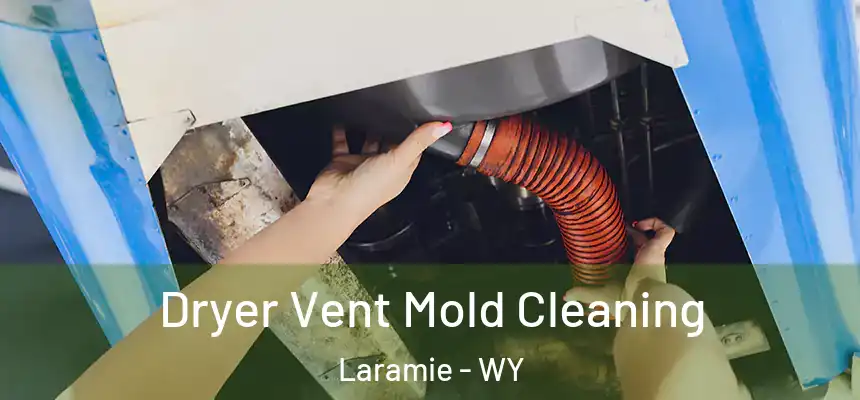 Dryer Vent Mold Cleaning Laramie - WY