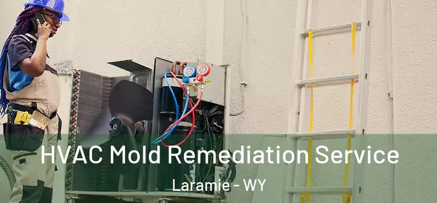 HVAC Mold Remediation Service Laramie - WY