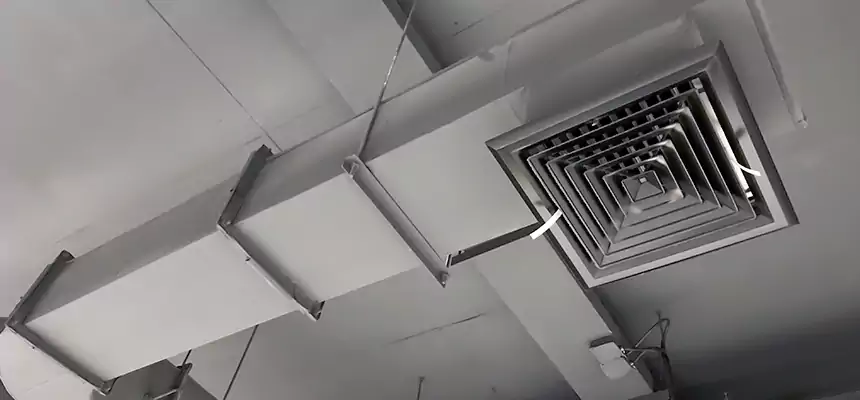 Our Pest Removal From Ducts Services in Laramie, WY