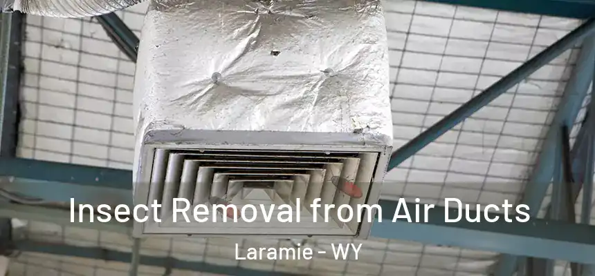 Insect Removal from Air Ducts Laramie - WY