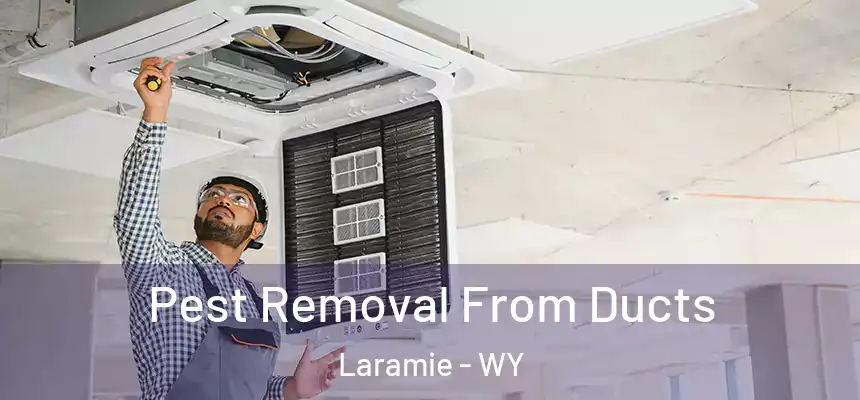Pest Removal From Ducts Laramie - WY