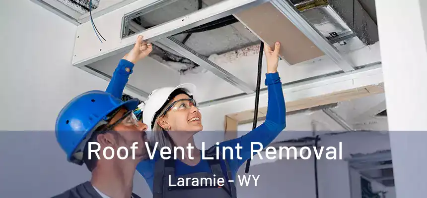 Roof Vent Lint Removal Laramie - WY