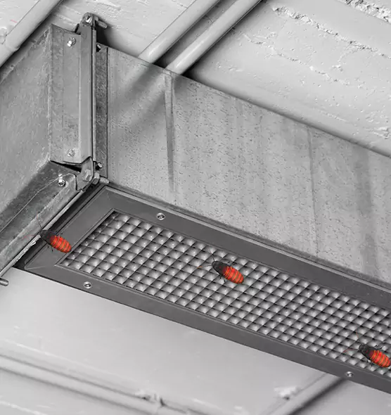 About Air Duct Cockroach Removal in Laramie, WY