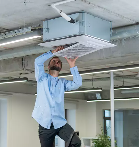 Advanced Rodent Droppings In Vents in Laramie, WY