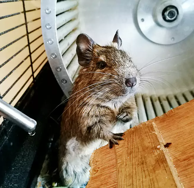 Why Homeowners & Businesses Trust Us Laramie, WY