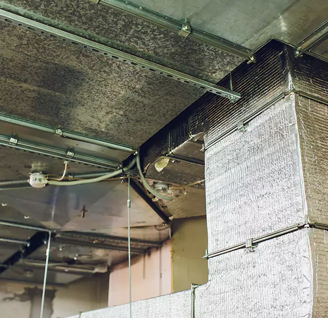 Why Homeowners & Businesses Trust Us in Laramie, WY?